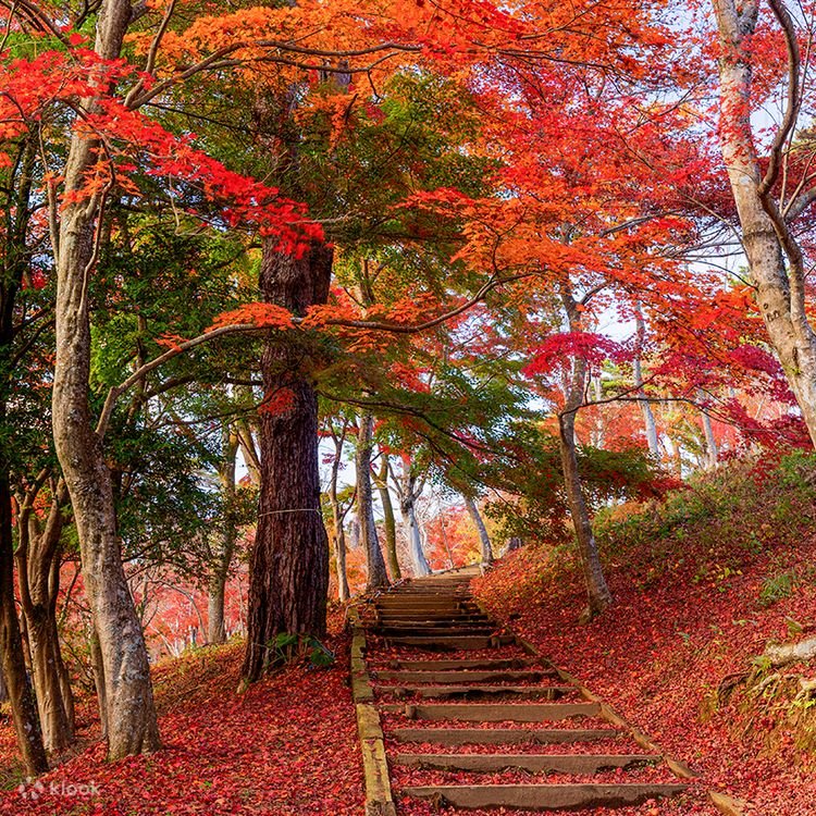 ⛩️ 슈젠지 (修禅寺) 이미지 6